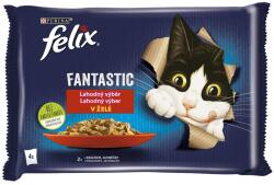 FELIX Fantastic tasakos eledel nyúlból és bárányból kocsonyában 48 x 85 g