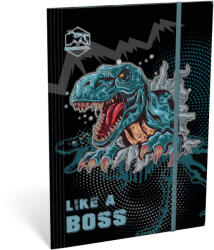 Lizzy Card Dino Cool gumis mappa A/4, Boss (LIZ-24130902)
