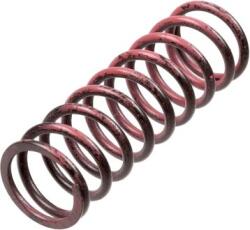 TRW Set arc ambreiaj TRW MEF313-6 (MEF313-6) - automobilus