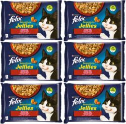 FELIX Sensations Gusturi Rurale in jeleu cu vita si pui 12x(4x85g)