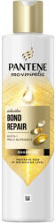 Pantene Molecular Bond Repair sampon biotinnal (250 ml)