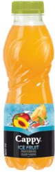 Cappy Ice Fruit Őszi-Dinnye 12% 0.5l 12/# DRS