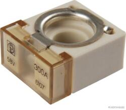 Herth+buss Elparts siguranta fuzibila HERTH+BUSS ELPARTS 50295888