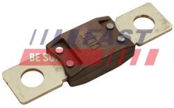FAST siguranta fuzibila FAST FT83404 (FT83404) - automobilus