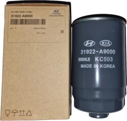 OE HYUNDAI Filtru combustibil OE HYUNDAI 31922A9000 (31922A9000)