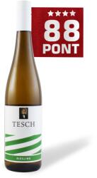 TESCH Riesling 2021 - Weingut Tesch - 88 pont **** (Németország) (0, 75l)
