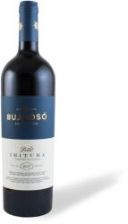 BUJDOSÓ Ibituba 2017 - Bujdosó (0, 75l)