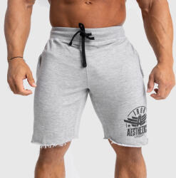 Iron Aesthetics Pantaloni scurți de trening pentru bărbați Iron Aesthetics Force, gri: Gri S (P1822A10926)