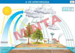 Comenius A víz körforgása (CM-1371)