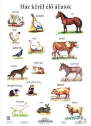 Stiefel Ház körül élő állatok (7585FL)