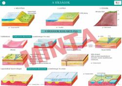 Comenius A síkságok (CM-1413)