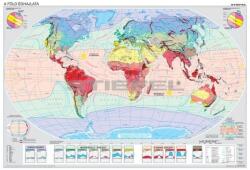 Stiefel A Föld éghajlata (73207A)