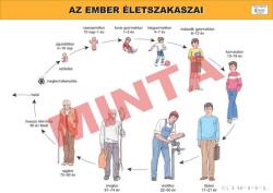 Comenius Az ember életszakaszai (CM-1229)