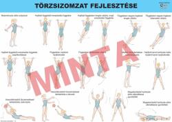 Comenius Törzsizomzat fejlesztése (CM-1803)