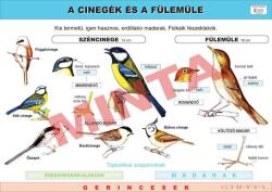Comenius A cinegék és a fülemüle (CM-1257)