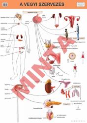 Comenius A vegyi szervezés (CM-1318)