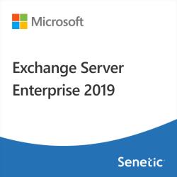 Microsoft Exchange Server Enterprise 2019 (DG7GMGF0F4MF-0003) (DG7GMGF0F4MF-0003)