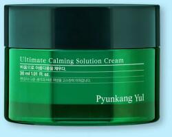 Pyunkang Yul Arckrém Ultimate Calming Solution Cream - 30 ml