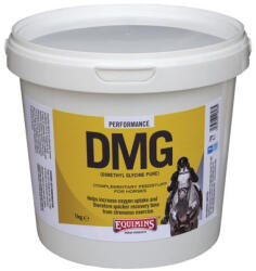 Equimins DMG - Dimetil-glicin 1kg