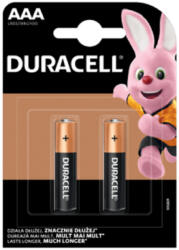 Duracell Basic AAA LR03 alkáli elemek buborékfólia 2 db (DURBAT1004)
