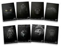 Pigna Monocromo Black A4 38lapos kockás füzet (P1111-0387) (P1111-0387)