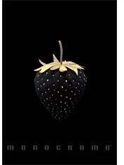 Pigna Monocromo Gold A4 tűzött 38 lapos vonalas füzet (P1111-1858) - officedepot