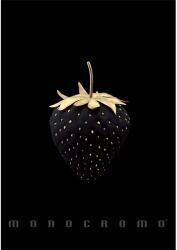 Pigna Monocromo Gold A4 tűzött 38 lapos vonalas füzet P1111-1858 (P1111-1858)