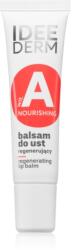 Ideepharm Idee Derm Vitamin A regeneráló szájbalzsam 12 ml