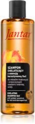 Farmona Natural Cosmetics Laboratory Jantar Amber Essence șampon pentru par deteriorat 300 ml