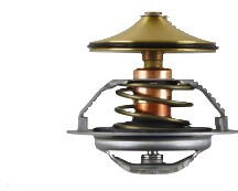 REGULUS Termosztát TSV6B és TSV8B 55°C szelephez 13194