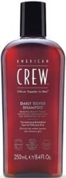 American Crew Șampon pentru păr gri, 250 ml (12010100158)
