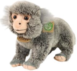 Rappa Jucărie de pluș Rappa Eco Friends - Marmozetă pigmeu, 25 cm (211933)