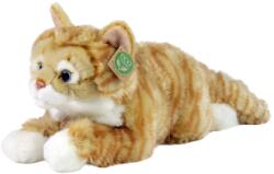 Rappa Jucărie de pluș Rappa Eco Friends - Pisica Riza Tabby, mincinoasă, 40 cm (221161)