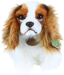Rappa Jucărie de pluș Rappa Eco Friends - Câine Kint Charles Spaniel, așezat, 25 cm (203044)