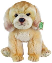 Rappa Jucărie de pluș Rappa Eco Friends - Labrador Retriever, așezat, 27 cm (203471)