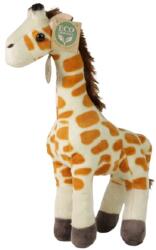 Rappa Jucărie de pluș Rappa Eco Friends - Girafa, 27 cm (190108)