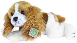 Rappa Jucărie de pluș Rappa Eco Friends - Câine Cavalier King Charles Spaniel culcat, 30 cm (203976)