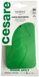 Mr&Mrs Fragrance Cesare Card Warm Spicy Autóillatosító 1 db