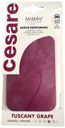 Mr&Mrs Fragrance Cesare Card Tuscany Grape Autóillatosító 1 db