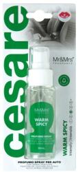 Mr&Mrs Fragrance Cesare Spary Warm Spicy Autóillatosító 1 db