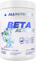 ALLNUTRITION BETA-ALANINE ENDURANCE MAX (500 GR) ICE FRESH 500 gramm