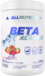 ALLNUTRITION BETA-ALANINE ENDURANCE MAX (500 GR) STRAWBERRY-RASPBERRY 500 gramm