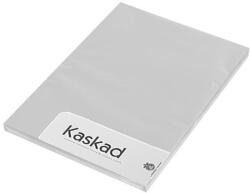 Kaskad Fénymásolópapír színes KASKAD A4 80gr ezüstszürke (94) 100 lap/cs (608194)