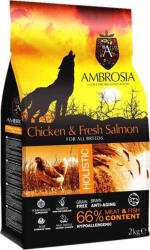 Ambrosia Chicken & Fresh Salmon 12kg Hrană Uscată fără Cereale pentru Câini Adulţi cu Somon și Pui (AM25008)