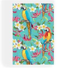 NEBULO Papagáj A4 gumismappa (GM-PAPAGÁJ-A4) - bestbyte