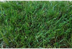 Nortene Gazon artificial ZURICH EVOLUTION 40 mm - 2 x 10 m (2018170)