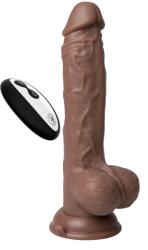 FemmeFunn Vibrator Realist Thruster Baller FemmeFunn, Remote Control, 10 Moduri Vibratii, 3 Viteze Impingere, Silicon Lichid, USB, Maro, 22.3 cm Vibrator