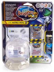 Aqua Dragons Set științific Aqua Dragons - Animale cosmice, set de bază (6001)