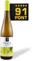 TESCH Löhrer Berg Riesling 2022 - Weingut Tesch - 91 pont **** (Németország) (0, 75l)