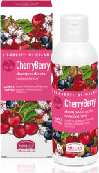 Helan Sorbetti CherryBerry koncentrált tusfürdő gél 150ml (HEL-29CB)
